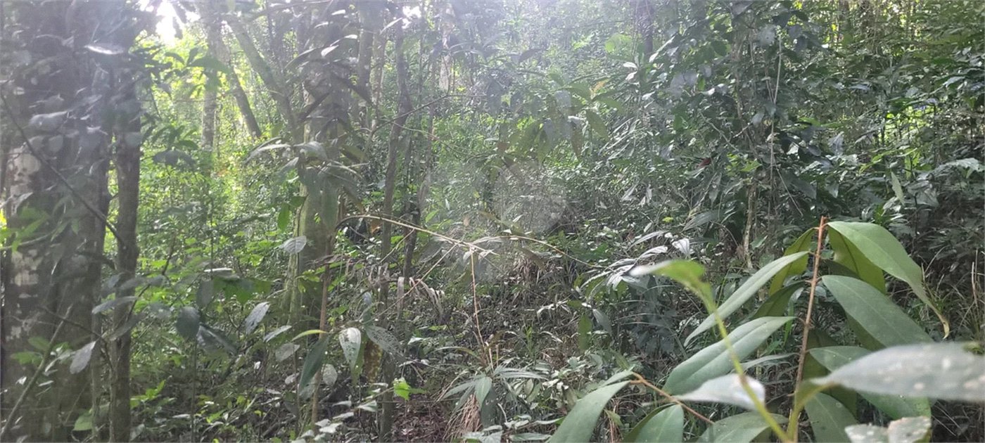 Terreno à venda em Mantiqueira, Mairiporã, SP