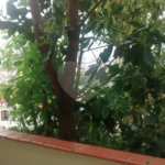 Sobrado à venda com 2 quartos em Jardim Franca, São Paulo, SP