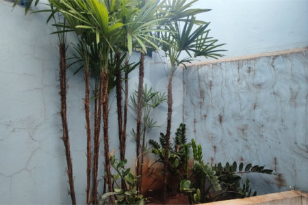 Casa à venda com 3 quartos, sendo 1 suíte, em Vila Monte Alegre, Ribeirão Preto, SP