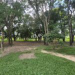 SÍTIO À VENDA EM ELIAS FAUSTO 21.900 m² - ÓTIMA TOPOGRAFIA E EXCELENTE LOCALIZAÇÃO