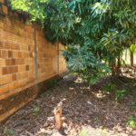 Terreno à venda em Vila Harmonia, Araraquara, SP