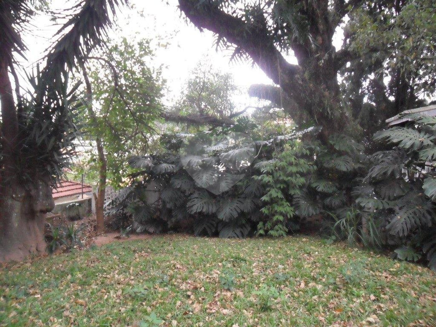 Sobrado à venda com 3 quartos, sendo 1 suíte, em Vila Albertina, São Paulo, SP