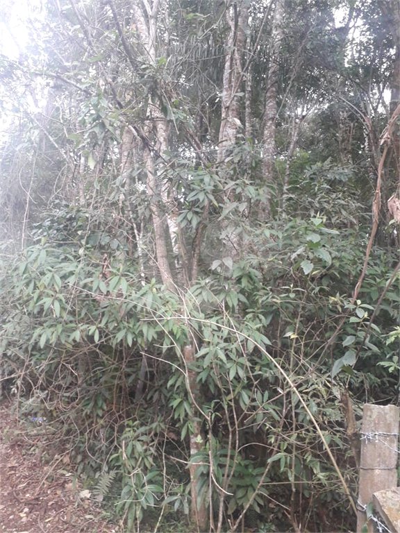 Terreno à venda em Suasalito, Mairiporã, SP