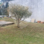 Casa à venda com 5 suítes em Roseira, Mairiporã, SP