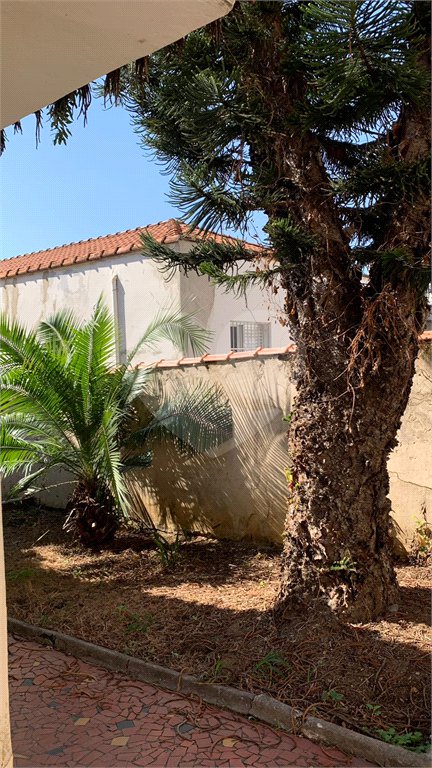 Casa à venda com 3 quartos em Jardim São Paulo(zona Norte), São Paulo, SP