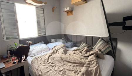 Casa à venda com 3 quartos, sendo 1 suíte, em Vila Medeiros, São Paulo, SP