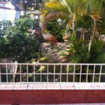 Sobrado à venda com 3 quartos em Vila Nova Cachoeirinha, São Paulo, SP