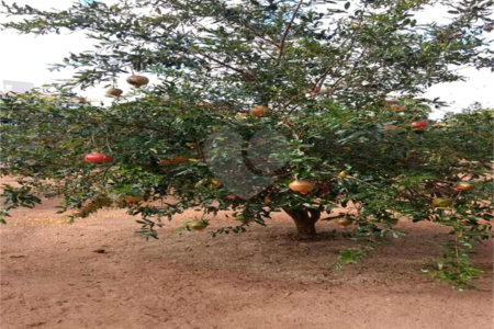 Casa à venda com 5 quartos, sendo 3 suítes, no condomínio Residencial Vale das Laranjeiras, Indaiatuba - SP