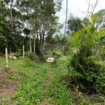 Terreno à venda em Vila Moraes, Mogi das Cruzes, SP