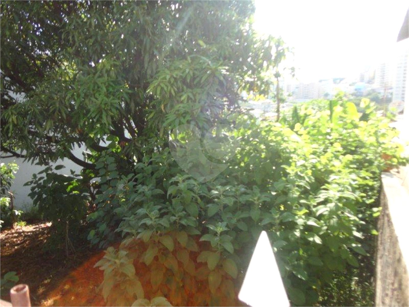 Terreno à venda em Vila São José, Valinhos, SP