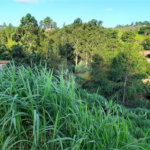 Área de Terra à venda em Três Pistas, Atibaia, SP