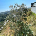 Terreno à venda no condomínio Arujá Hills Iii, Arujá - SP