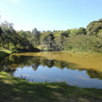 Chácara à venda com 4 suítes em Monte Alegre, Vinhedo, SP