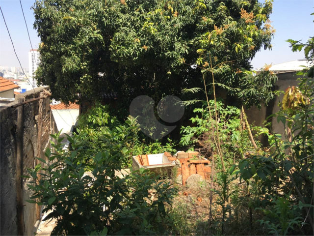 Terreno à venda com 3 quartos em Vila Maria, São Paulo, SP