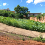 Terreno com 305,82 m² .