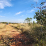 Área de Terra para alugar em Jardim Zavanella, Araraquara, SP