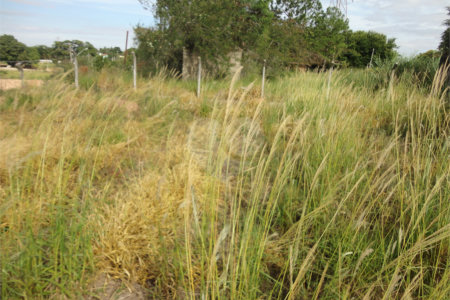 Terreno à venda em Vista Alegre, Vinhedo, SP