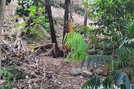 Loteamento à venda em Jardim Amália, São Paulo, SP