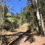 Terreno à venda em Serra da Cantareira, Mairiporã, SP