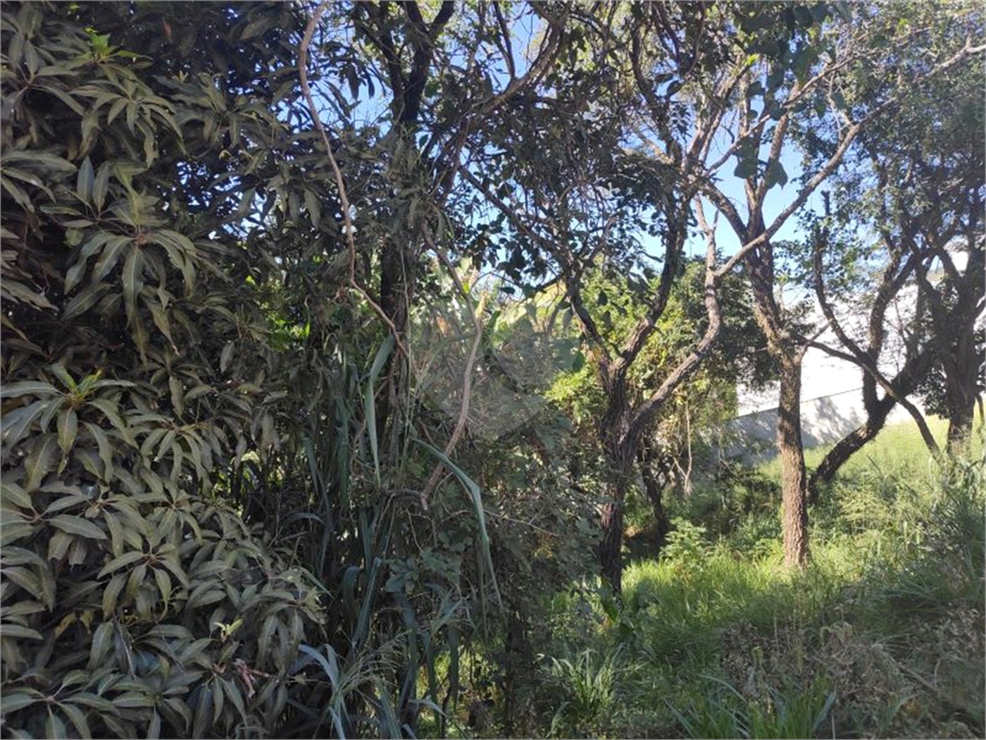 Terreno à venda em Jardim Paulista, Atibaia, SP