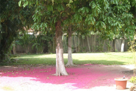 Sítio à venda com 4 quartos, sendo 2 suítes, em Santa Cruz, Rio de Janeiro, RJ