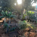 Terreno à venda em Jardim do Trevo, Atibaia, SP