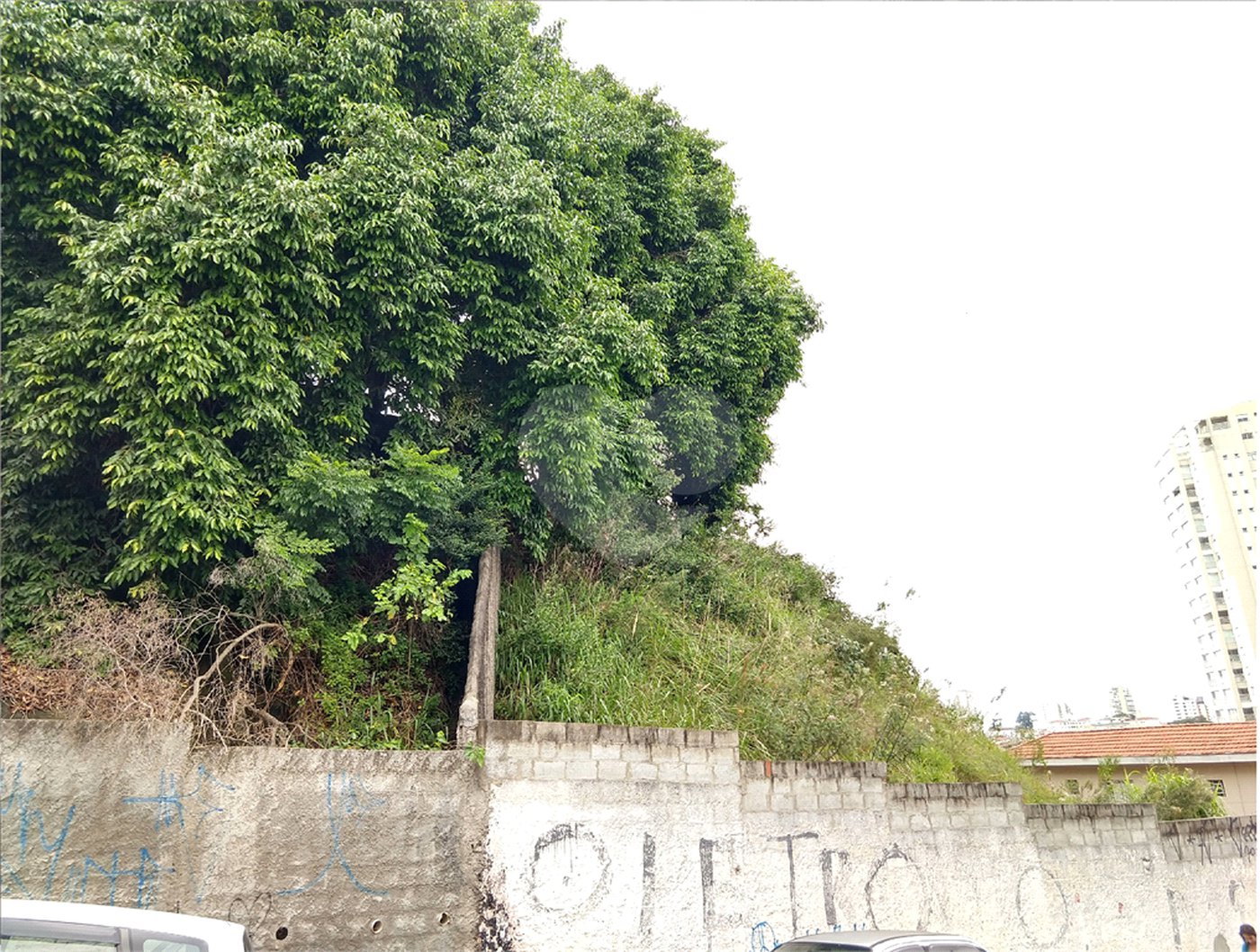 Terreno à venda em Vila Maria, São Paulo, SP