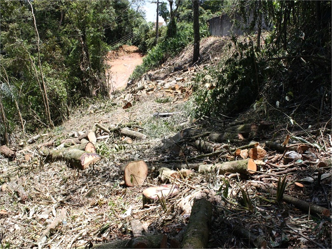 Terreno à venda em Serra da Cantareira, Mairiporã, SP