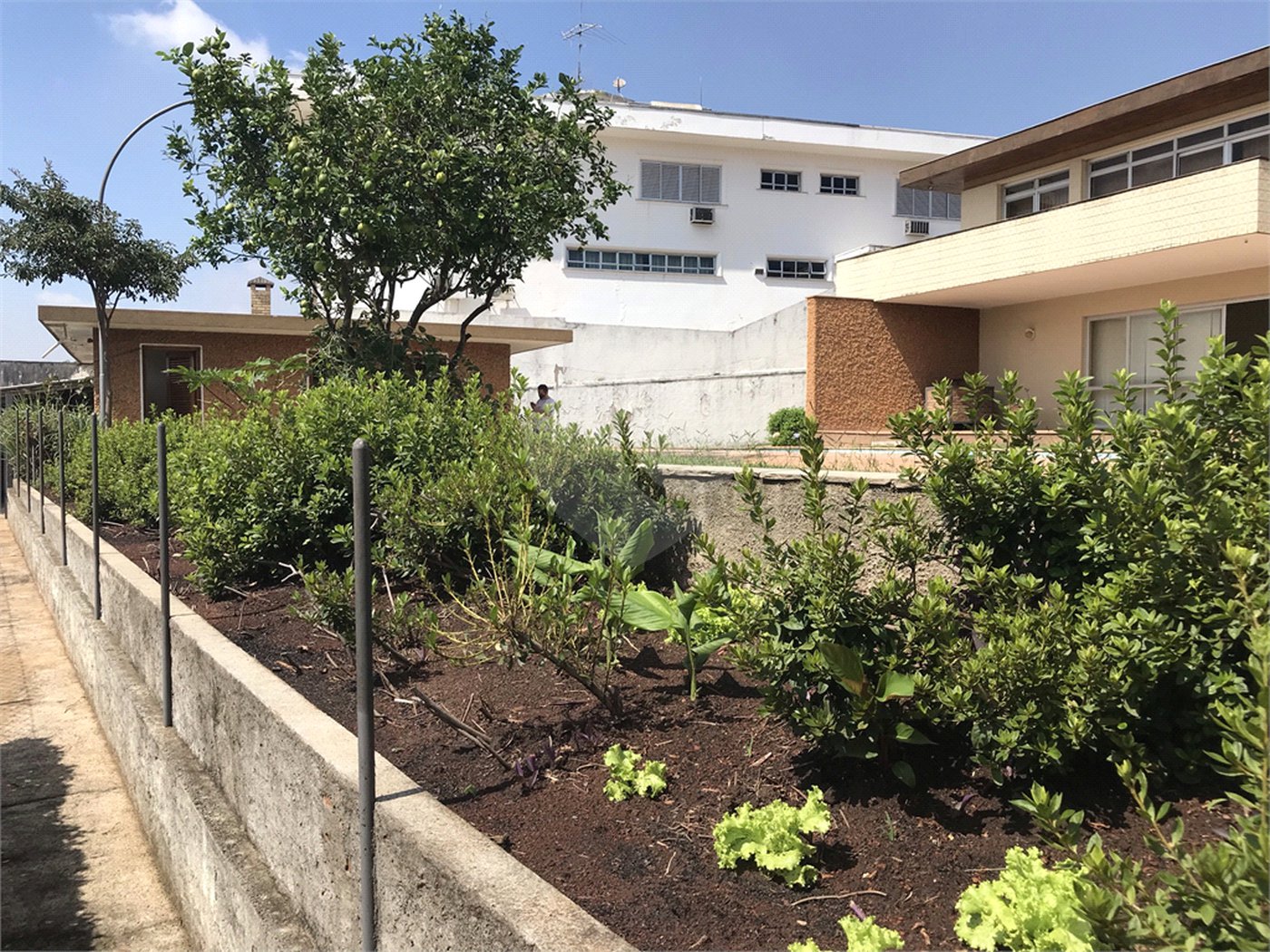 Sobrado à venda com 5 quartos, sendo 1 suíte, em Jardim São Bento, São Paulo, SP