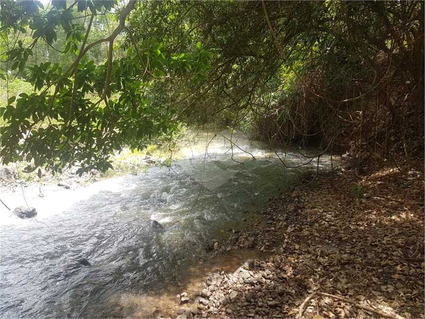 Fazenda à venda com 2 quartos em Canabrava, João Pinheiro, MG