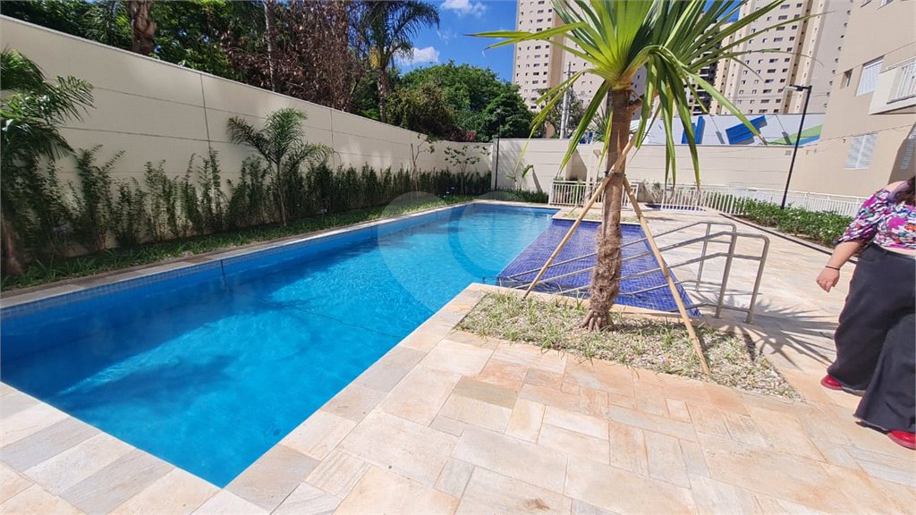 Apartamento à venda com 3 quartos, sendo 1 suíte, em Parada Inglesa, São Paulo, SP