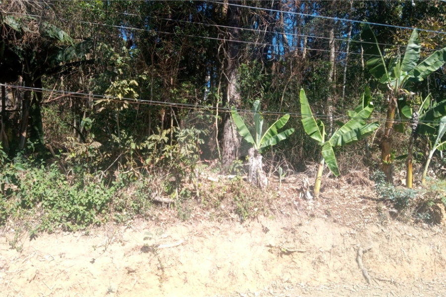 Terreno à venda em Serra da Cantareira, Mairiporã, SP