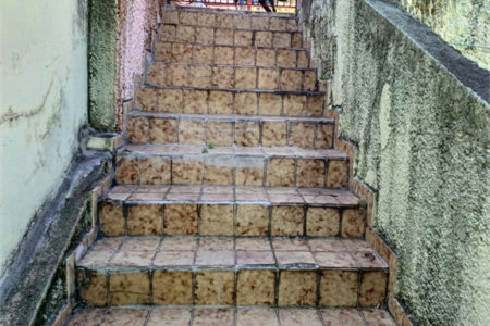 Casa Térrea à venda com 6 quartos em Vila Gustavo, São Paulo, SP