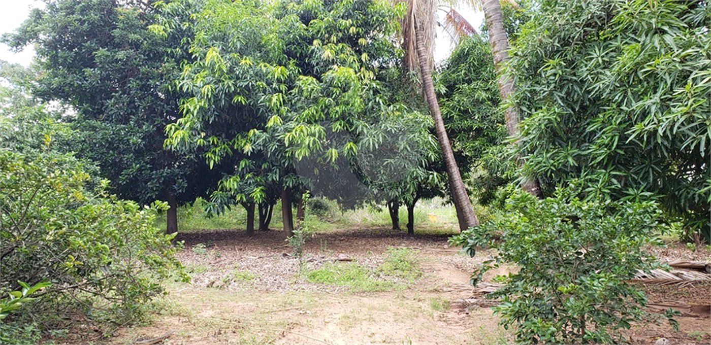 Sitio para venda.
