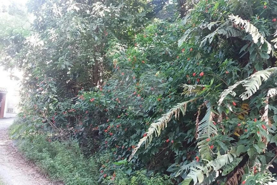 Terreno à venda em Tremembé, São Paulo, SP