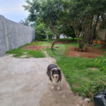 Terreno 549m² - Bairro Jd. Paulista - Atibaia / SP