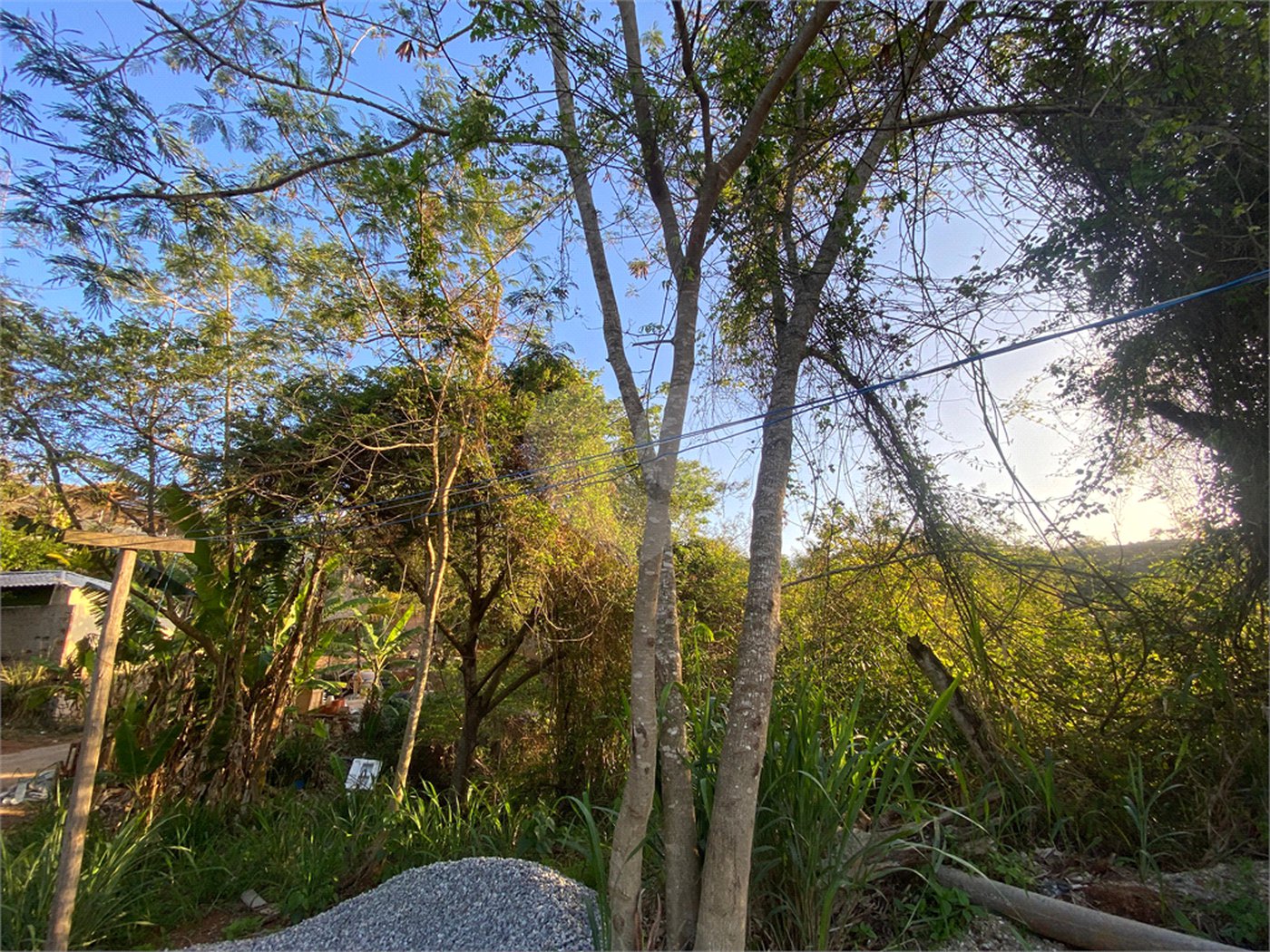 Terreno à venda em Albatroz, Armação dos Búzios, RJ