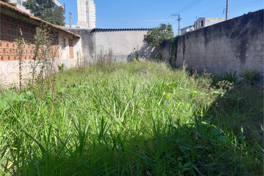 Terreno à venda com 1 quarto em Tucuruvi, São Paulo, SP