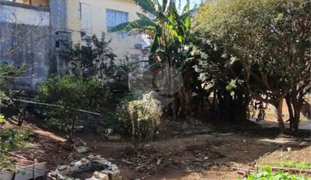 Terreno à venda em Vila Gustavo, São Paulo, SP