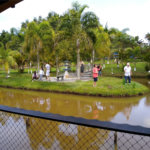Sítio à venda com 8 quartos, sendo 2 suítes, em Biritiba Ussu, Mogi das Cruzes, SP