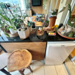 Apartamento à venda com 3 suítes em Mandaqui, São Paulo, SP