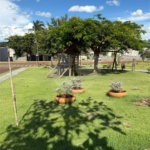 Terreno à venda em Loteamento Santa Marta, Ribeirão Preto, SP