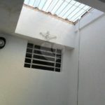 Exuberante no Horto Florestal