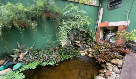 Casa à venda ou para alugar com 4 quartos, sendo 2 suítes,  em Vila Mazzei, São Paulo, SP