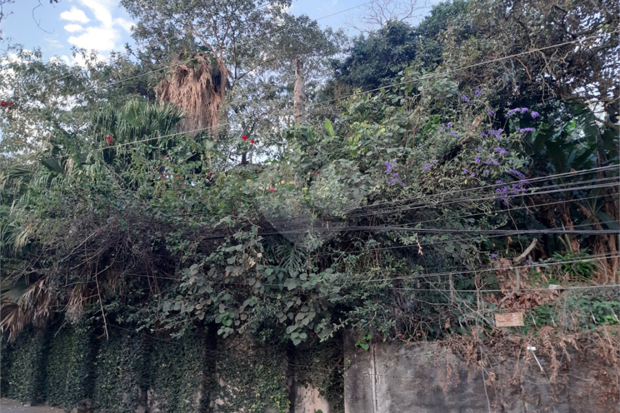Terreno à venda em Vila Gustavo, São Paulo, SP