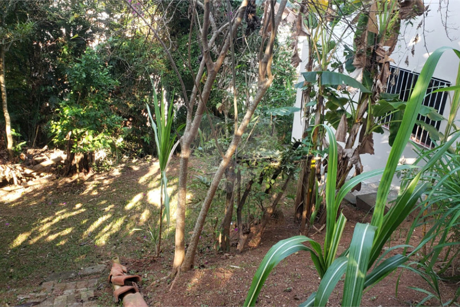 Sobrado à venda com 3 quartos, sendo 1 suíte, em Horto, São Paulo, SP
