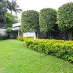 Casa Térrea à venda com 4 quartos, sendo 1 suíte, em Alto da Boa Vista, São Paulo, SP