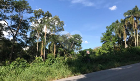 Terreno à venda em Serra da Cantareira, Mairiporã, SP