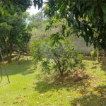 Casa à venda com 3 quartos, sendo 2 suítes, no condomínio Cafezal VI, Itupeva - SP