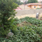 Terreno à venda com 1 quarto em Jaçanã, São Paulo, SP